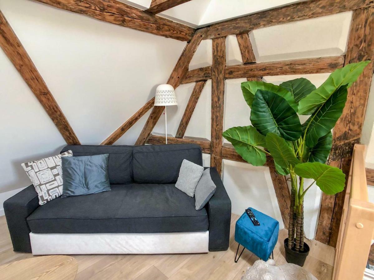 Beauty & The Beast - Old Town Cosy Apartments Κολμάρ Εξωτερικό φωτογραφία