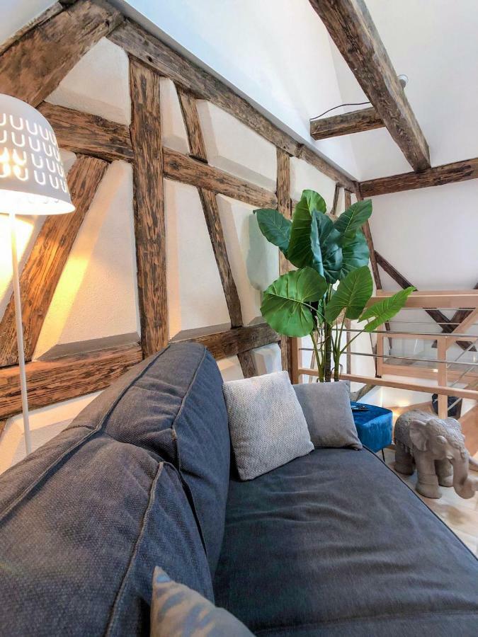 Beauty & The Beast - Old Town Cosy Apartments Κολμάρ Εξωτερικό φωτογραφία